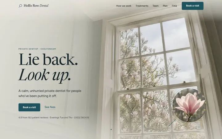 Hollis Row dental homepage: looking up at a tall sash window and blossom, with the headline Lie back. Look up.