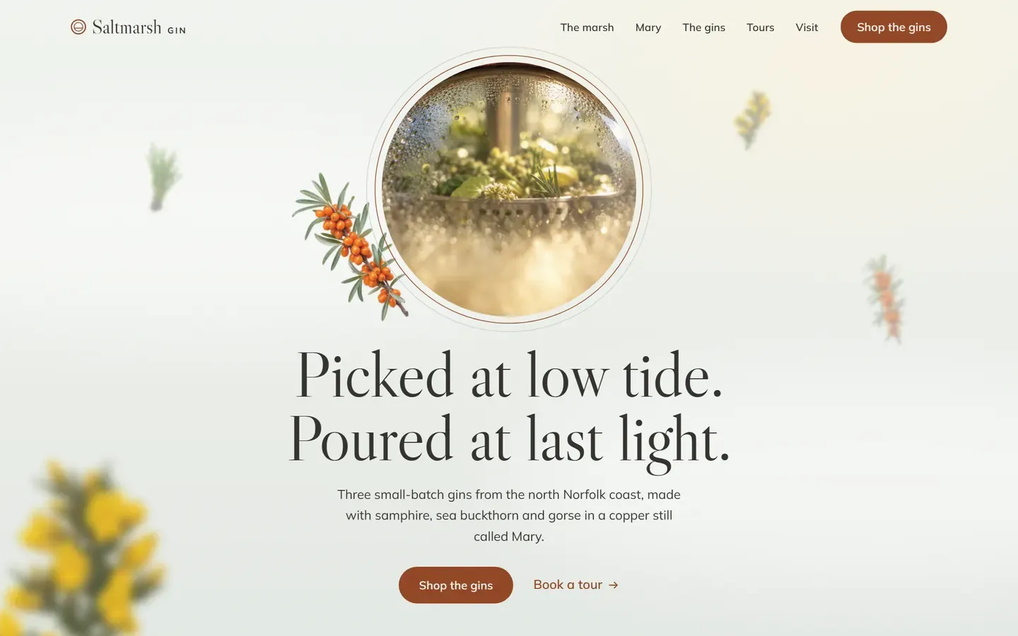 Saltmarsh Gin homepage: a round sight glass full of botanicals and the headline Picked at low tide. Poured at last light.